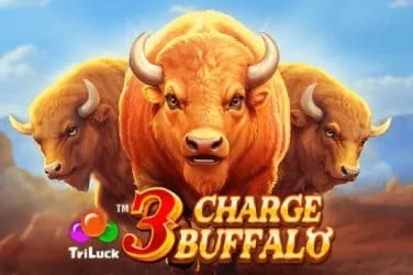 719 bet app
